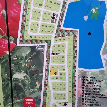 Le Camp Des Roses Aubers