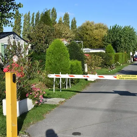 Le Camp Des Roses