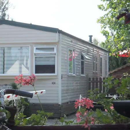 Le Camp Des Roses Aubers